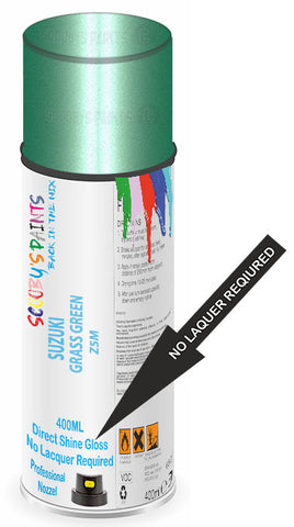 paint for Suzuki Samurai