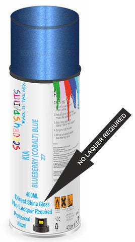 paint for Kia Pride