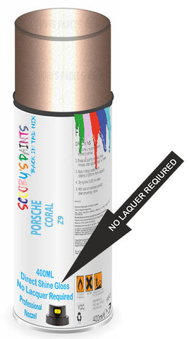 paint for Porsche 924