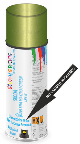 paint for Skoda Octavia