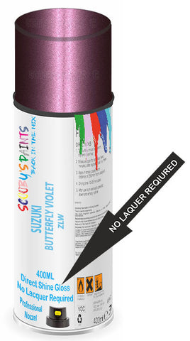 paint for Suzuki Palette Sw