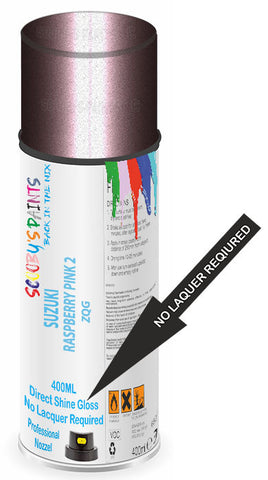 paint for Suzuki Celerio