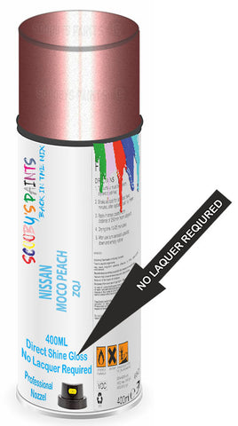 paint for Nissan Moco