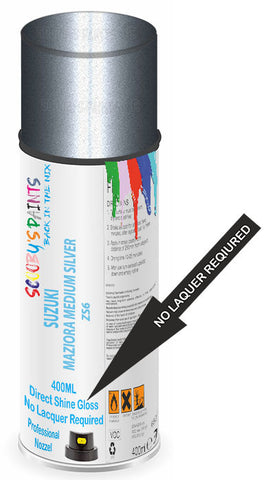 paint for Suzuki Wagon R