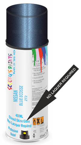 paint for Nissan Primastar