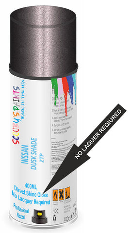paint for Nissan Pixo
