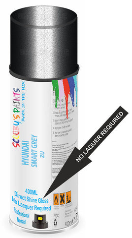 paint for Hyundai Centennial