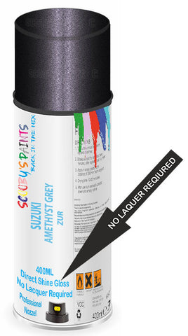 paint for SUZUKI SX4