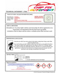 Data Safety Sheet Vauxhall Campo Alpine White 96U/877 1999-2002 White Instructions for use paint