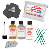 ALFA ROMEO OCRA YELLOW Paint Code 110 Car Touch Up Compound polish kit