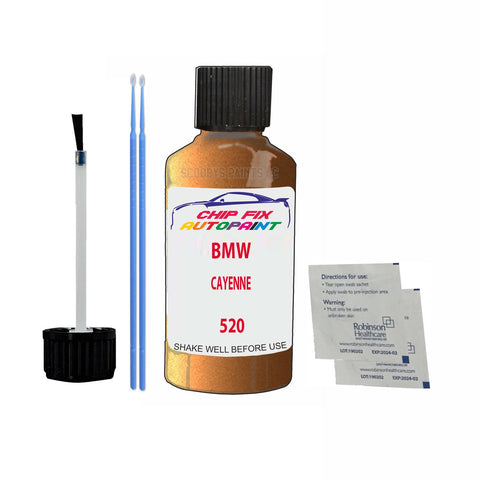 BMW CAYENNE Paint Code 520 Car Touch Up Paint Scratch/Repair