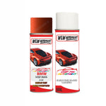 Aerosol Spray Paint For Bmw 1 Series Sunset Orange Panel Repair Location Sticker body