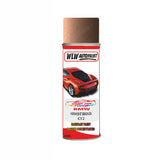 Aerosol Spray Paint For Bmw 3 Series Limo Vermont Bronze Code C1Z 2018-2020