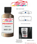 paint code location plate Peugeot 406 Bronze Lhassa M0EY, EEY 1999-2000 Yellow Touch Up Paint