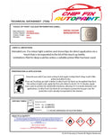 Data Safety Sheet Vauxhall Antara Daydream Beige Goz 2011-2016 Beige Instructions for use paint