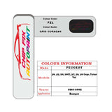 colour swatch card  Peugeot 406 Coupe Gris Ouragan FZL 1991-2005 Silver Grey Touch Up Paint