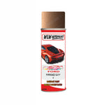 Ford Burnished Glow Paint Code Y Aerosol Spray Paint Scratch Repair