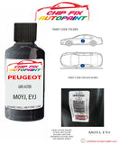 paint code location plate Peugeot 605 Gris Aster M0YJ, EYJ 1997-2014 Silver Grey Touch Up Paint