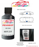 paint code location plate Peugeot 306 cabrio Gris Cosmos M0YF, EYF 1997-2003 Silver Grey Touch Up Paint