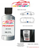 paint code location plate Peugeot 4007 Gris Iceland 9M, EYL, M0YL 1998-2013 Silver Grey Touch Up Paint