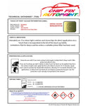Data Safety Sheet Vauxhall Tigra Kiwi 384/15H/43U 2000-2003 Green Instructions for use paint