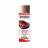 NISSAN LIGHT BROWN Code:(CAG) Car Aerosol Spray Paint Can