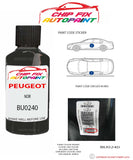 paint code location plate Peugeot 1007 Noir BU0240 2006-2007 Black Touch Up Paint