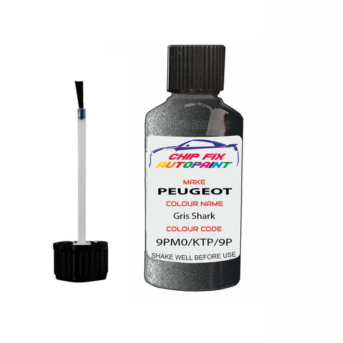 Paint For Peugeot 307 Gris Shark 9PM0, KTP, 9PM0 2006-2017 Silver Grey Touch Up Paint