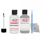 primer undercoat anti rust  Peugeot 607 Blanc Banquise EWP, P0WP, POWP 1993-2022 White Touch Up Paint
