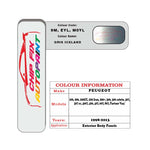 colour swatch card  Peugeot 406 Gris Iceland 9M, EYL, M0YL 1998-2013 Silver Grey Touch Up Paint