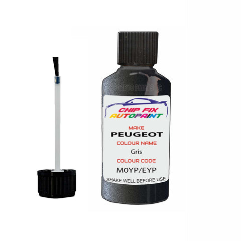 Paint For Peugeot 206 Gris Oruro/Fulminator M0YP, EYP 1999-2014 Silver Grey Touch Up Paint