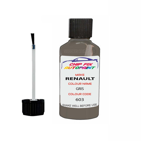 Paint For Renault Kangoo Van Gris Hologramme 1999-2009 Touch up scratch Paint Silver/Grey