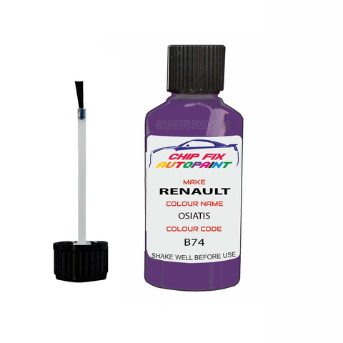 Paint For Renault Kangoo Van Osiatis 2001-2015 Touch up scratch Paint Purple/Violet