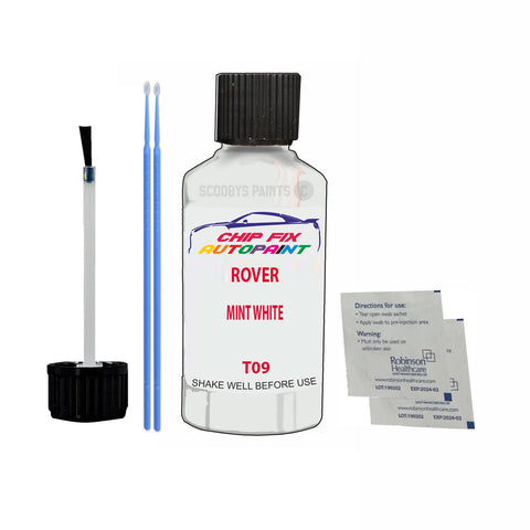 ROVER MINT WHITE Paint Code T09 Scratch Touch Up Paint Pen