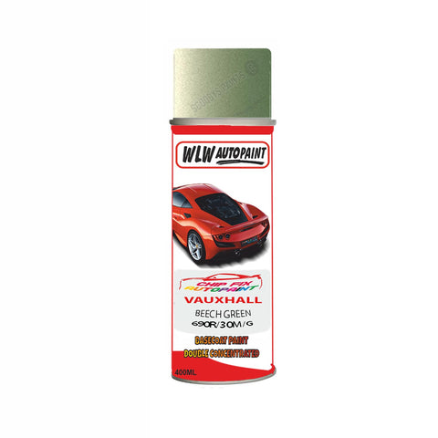 Aerosol Spray Paint For Vauxhall Corsa Beech Green Code 690R/30M/Gak 2009-2012