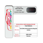 colour card paint for vauxhall Corsa Black Star Mist Code 905/256/90L 1986 2005
