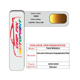 colour card paint for vauxhall Vx220 Capri Yellow Code 4Gu 2000 2002