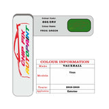 colour card paint for vauxhall Vivaro Frog Green Code 866/0Rv 2010 2010