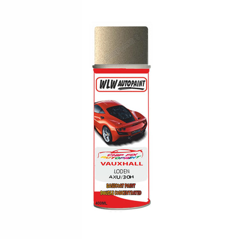 Aerosol Spray Paint For Vauxhall Cabrio/Convertible Loden Code Axu/30H 2008-2008