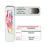 colour card paint for vauxhall Calibra Mistral Grey Code 82L/83L/119 1989 1995