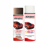 Aerosol Spray Paint For Vauxhall Zafira Nuss Braun Panel Repair Location Sticker body