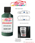 paint code location plate Peugeot 106 Vert Roland Garros M0RP, ERP 1989-1995 Green Touch Up Paint