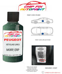 paint code location plate Peugeot 405 Vert Roland Garros M0RP, ERP 1989-1995 Green Touch Up Paint