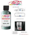 paint code location plate Peugeot 206 Vert Romarin M0RV, ERV 1996-2004 Green Touch Up Paint