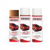 Vw Inca Brown Code:(Le8Y) Car Spray rattle can paint repair kit